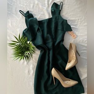 NWT Nanette Lepore Evergreen Dress